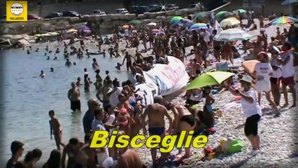 Ecco il resoconto esclusivo della tappa finale del tour giù le mani dal nostro mare!