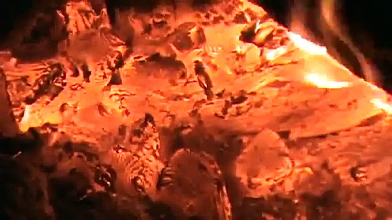 Fireside Chat   Blackbody radiation and quantum mechanics