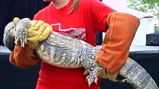 Crocodile Encounters Show At Bridgeland Nature Festival HD