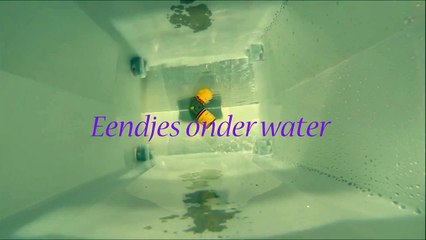 Dag 24 Eendjes onder water