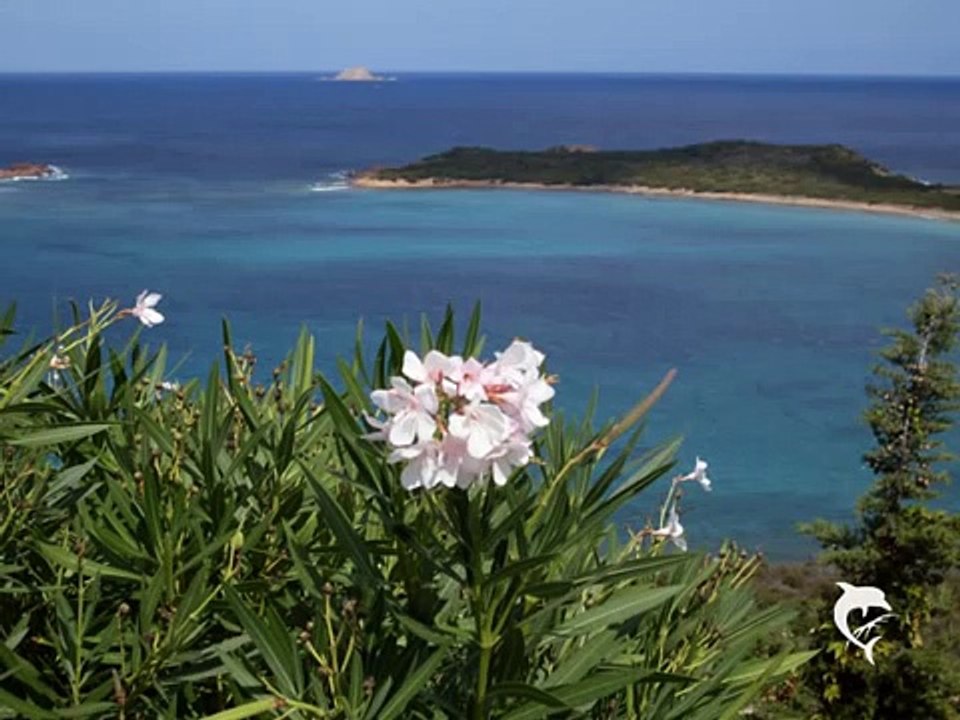 Nicolas de Angelis Unas Notas para Ana...