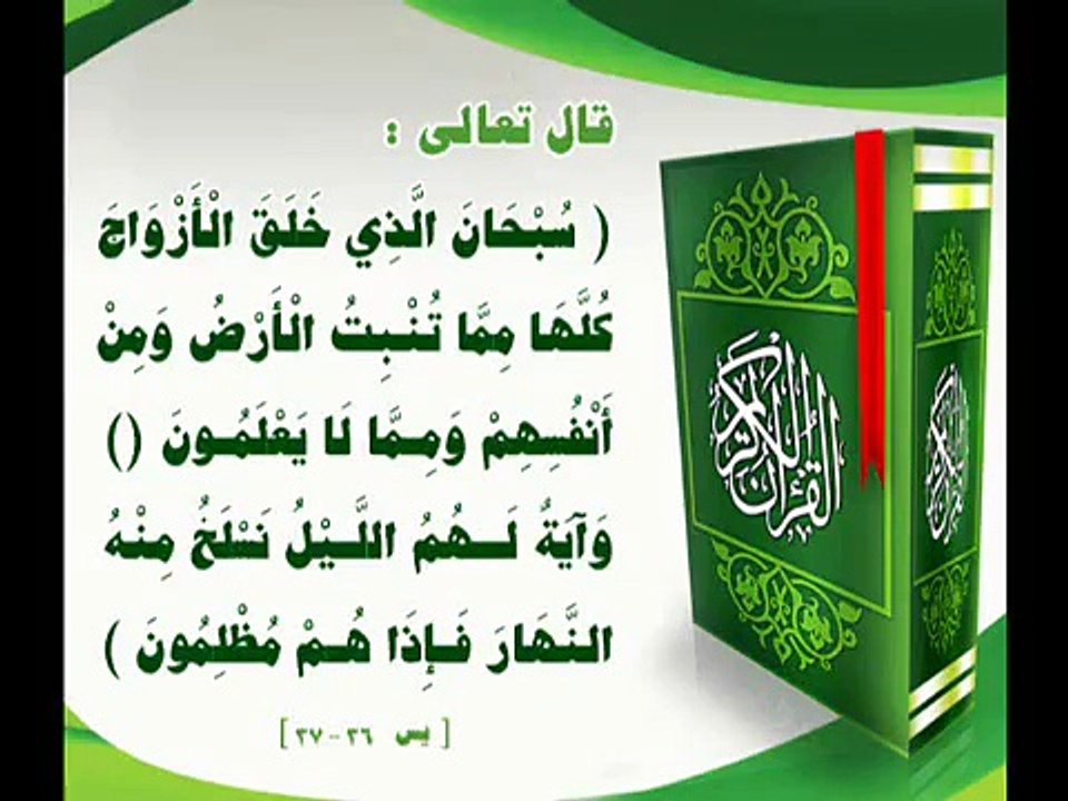 عجباً  شاهدوا الشيخ الصوفي  أبو النور خورشيد كيف يقرأ القرآن