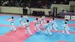 1/4 Korean National Taekwondo Demonstration Team - Coupe de l'Ambassadeur de Corée(13.12.08)