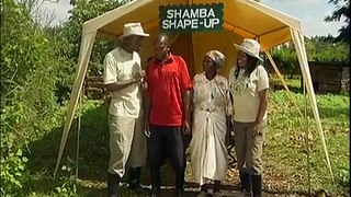 Shamba Shape Up (English) - Rice Growing, Potato & Maize Crops, Chickens