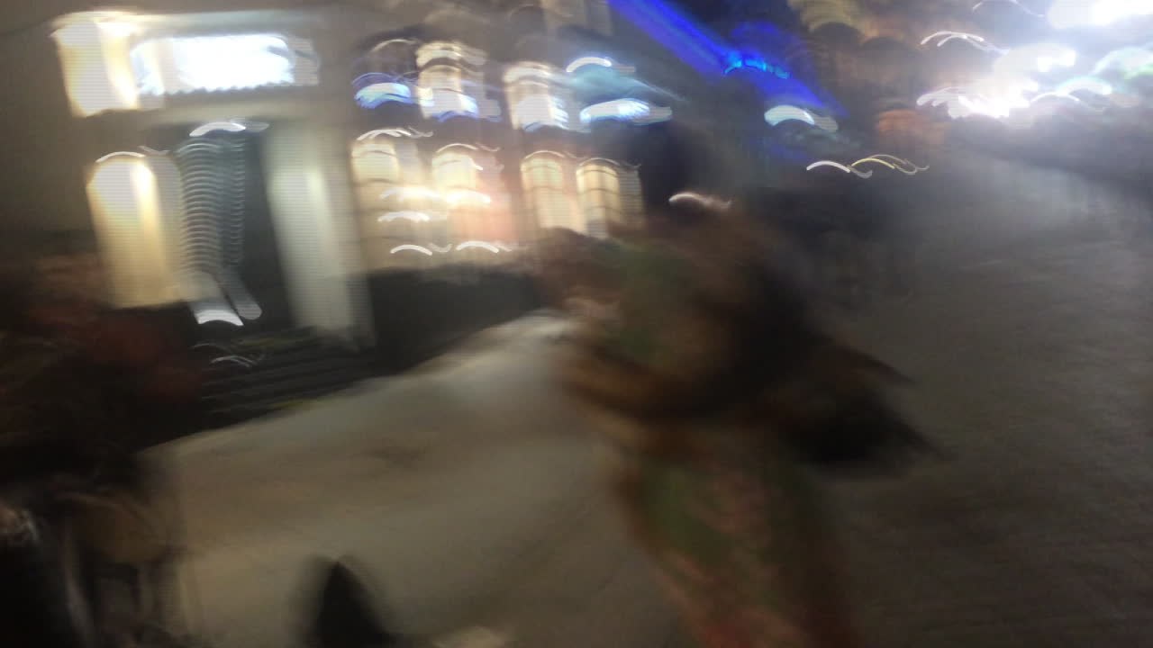 Aerosmith-Sänger trällert spontan mit Straßenmusiker