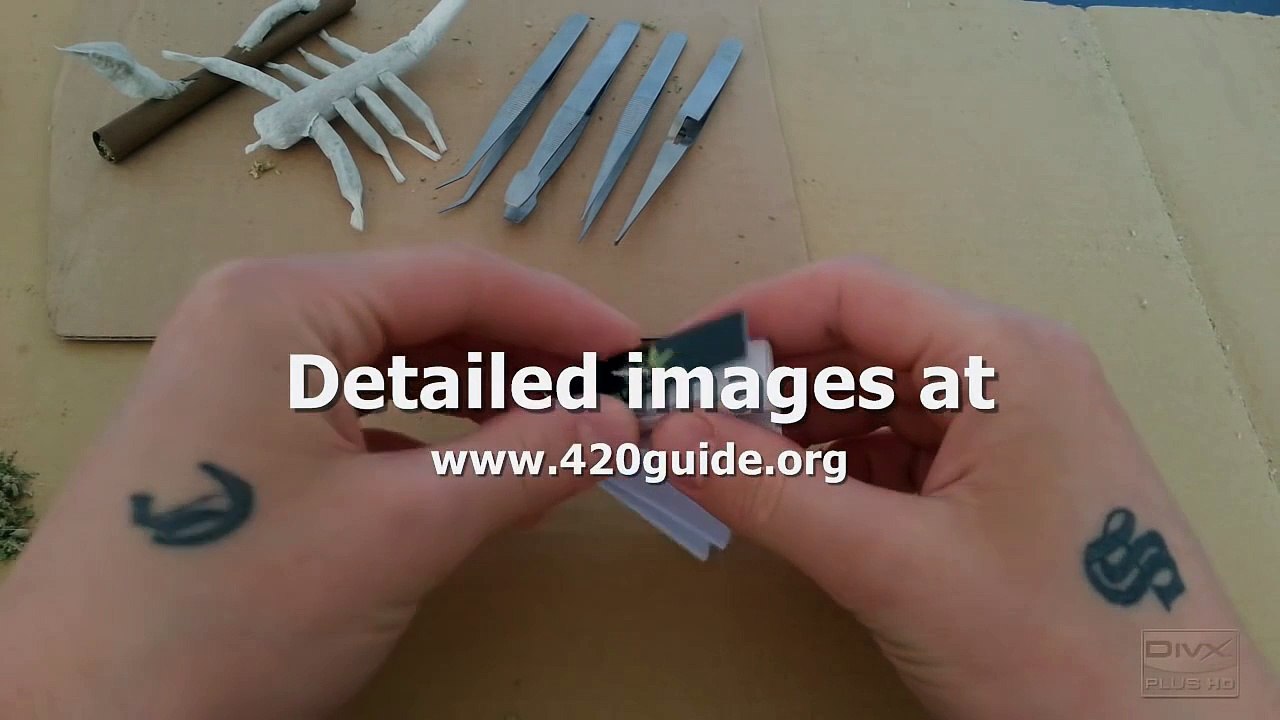 learn how to roll a joint in 3 minutes [POV 420Guide] video Dailymotion