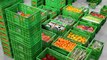 CIMCORP Order Picking System for Fresh Produce