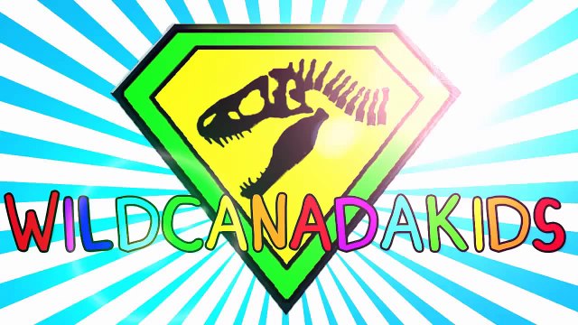 Animal Videos for Kids   Learn about Animals for Children   Nature Documentary for Kids