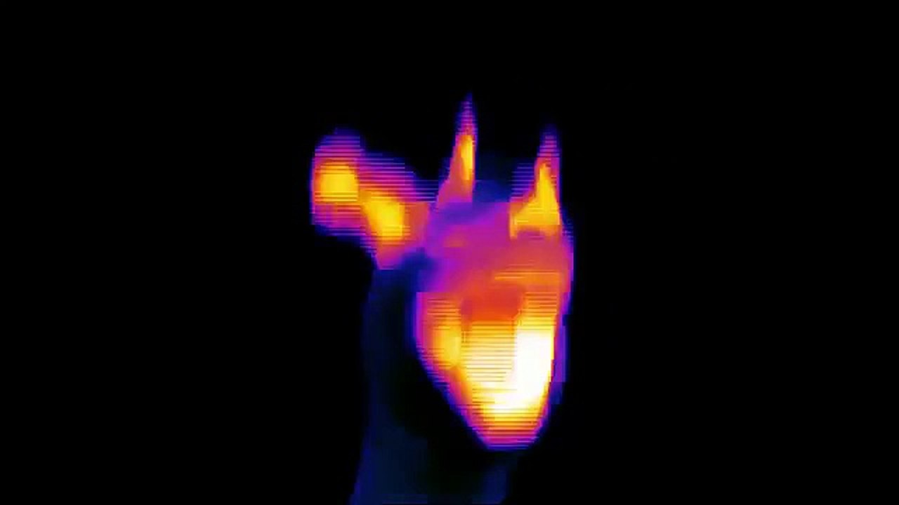 Zylon Dragon