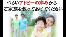 45 ◆～アトピー治療計画～◆　【ステップ　ケア】 購入 特典 評価 動画 ブログ 評判 レビュー 感想 ネタバレ 実践 口コミ