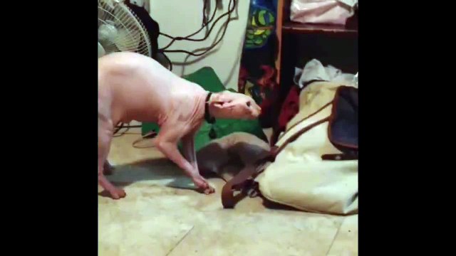 very creepy, disturbing children's cartoon, banned from TV