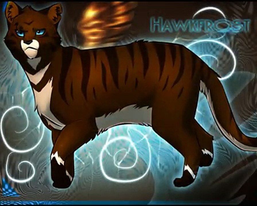 'Villain'-Warrior-Cats-Toms-~-I'm-Crazy-but-y