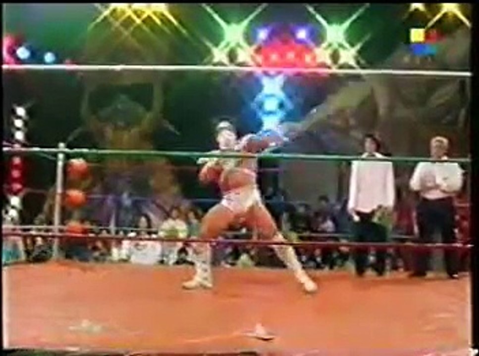 Kato el ninja blanco vs el ninja negro (Lucha total)