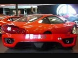 Ferrari collection with ENZO! F50! F40! 288 GTO! and more!