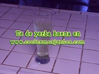 Te de hierba buena - mint iced tea