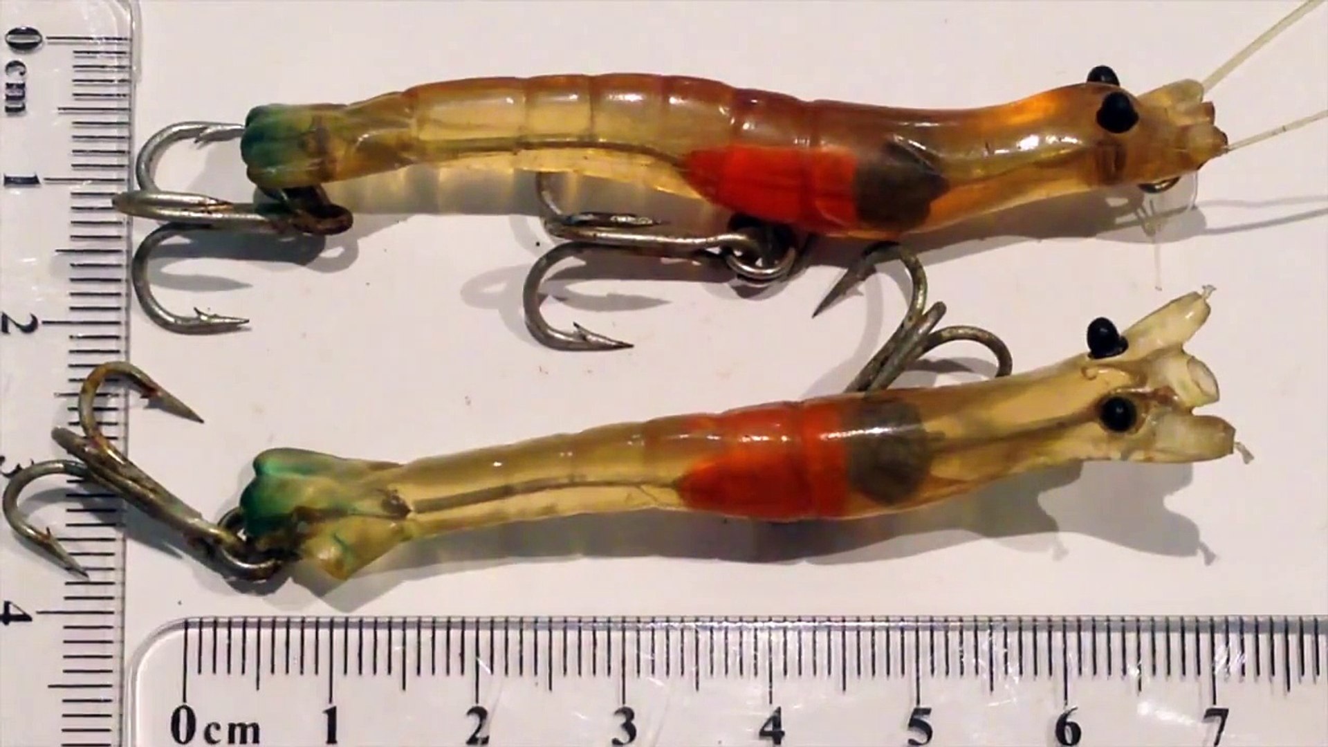 Rio's Prawn Review with Flathead fishing action - My Lure Box - video  Dailymotion