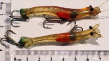 Rio's Prawn Review with Flathead fishing action - My Lure Box