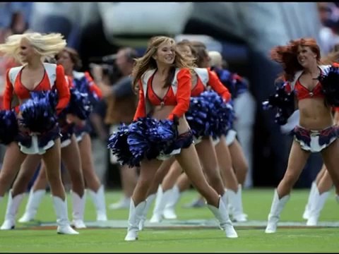 NFL Cheerleaders 2008-09 v2.0a