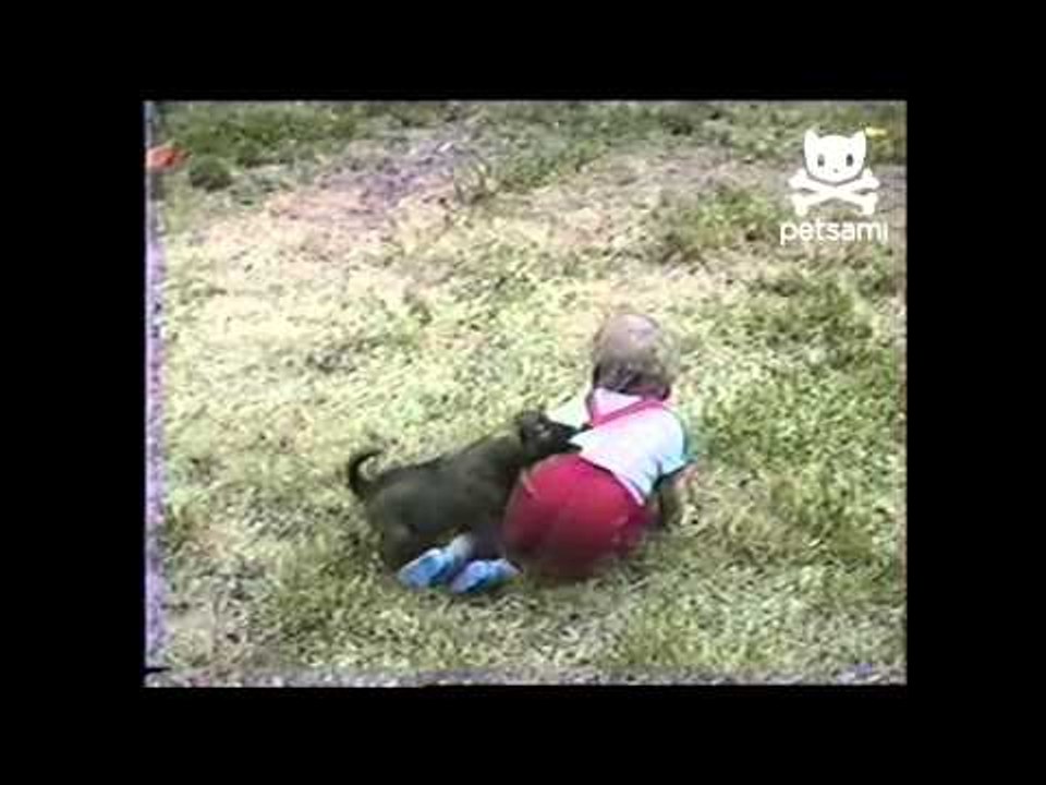 Cuteness Overload: Dogs vs. Kids