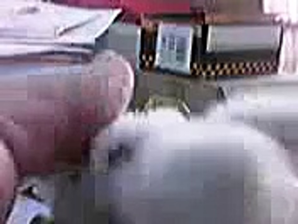 FALCO (GHEPPIO)...BABY  SALVATO DA VINCENZO TROILO