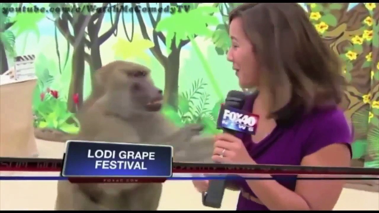 Best TV News Fails - TV Bloopers Compilation Part 2