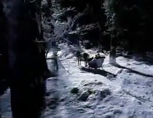 a lot of fun romantic seen but animals is always  animals