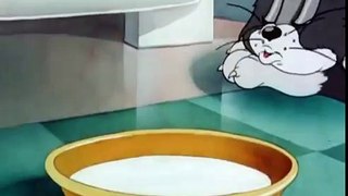 Tom and Jerry Episode 024 The Milky Waif 1946