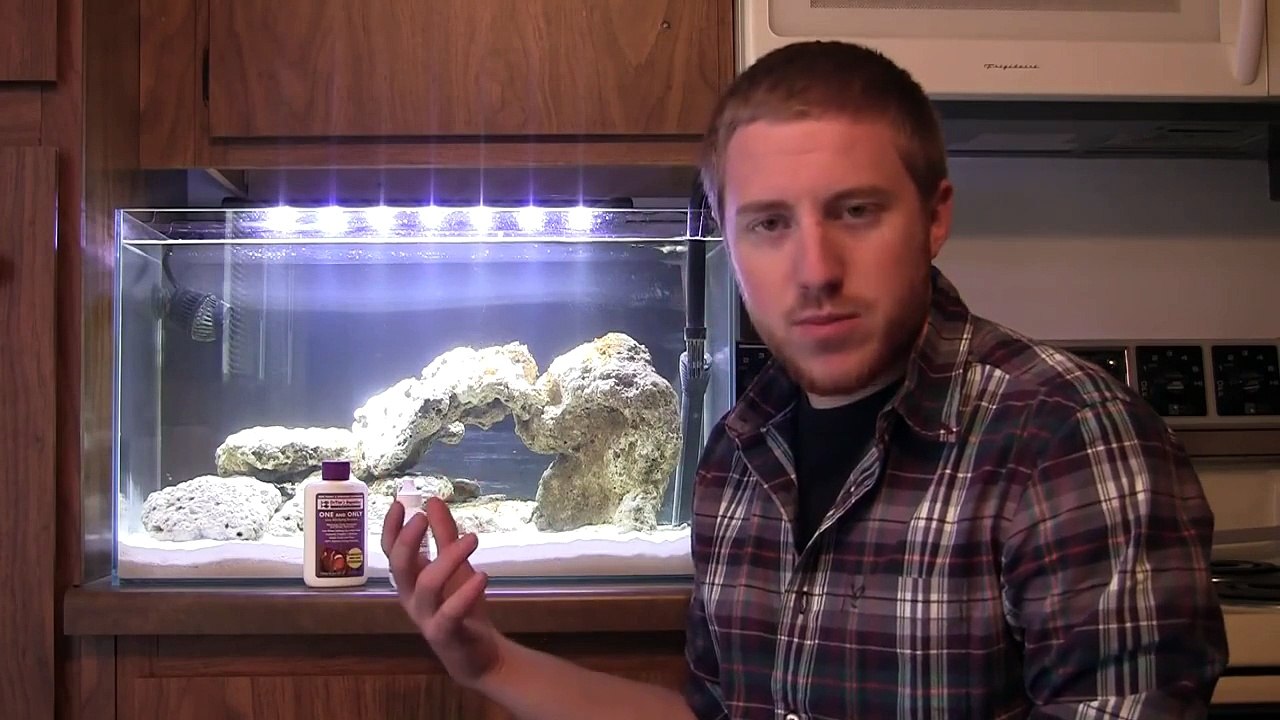 The Fishless Nitrogen Cycle Part 2