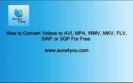 Aura Free Video Converter - Convert Videos to AVI, MP4, WMV, MKV, FLV, SWF or 3GP