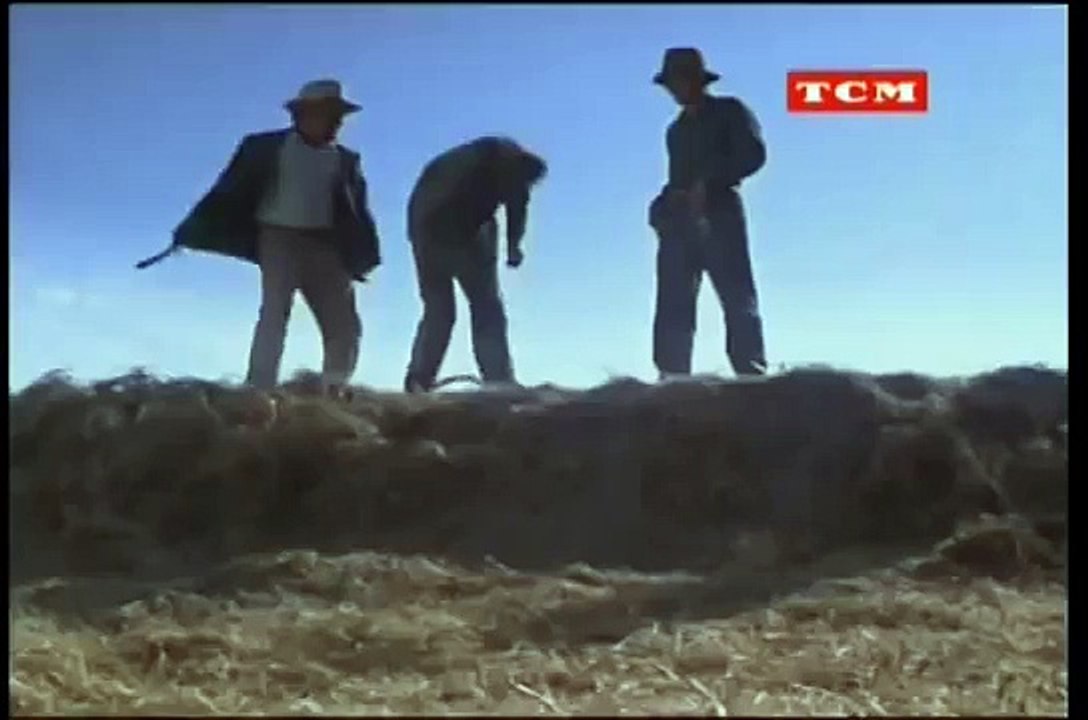 Cool Hand Luke 1967   The Captain's speech   What we got here is a failure to communicate