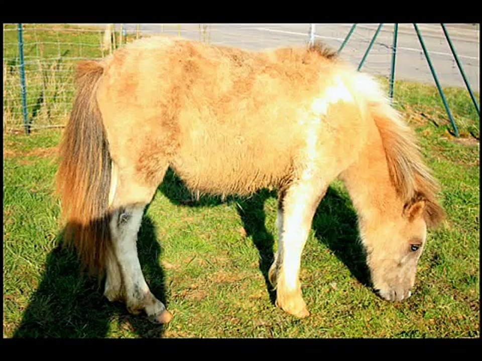 Trois mois ensemble, trois mois de progrès ! Son histoire..