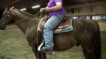 Intro to Western Dressage- More Basic Tips