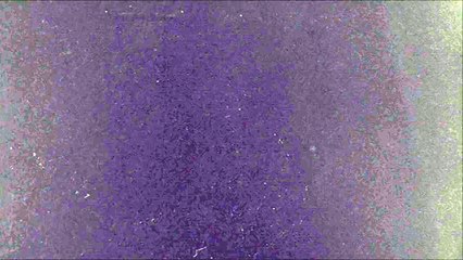 Ari by Ariana Grande  | Ulta Beauty