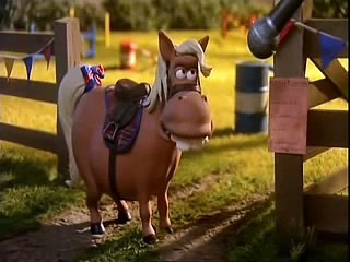 Obama Turtle gets elected - Creature Comforts