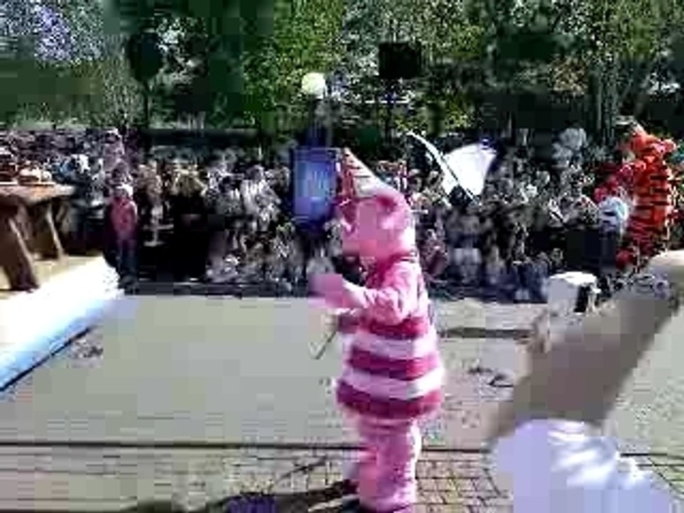 Parade Disney 15 ans