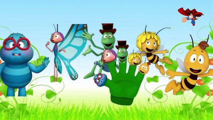 Bee Maya Finger Family   Finger Family Nursery Rhymes