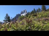 Chamonix-Mont-Blanc en été