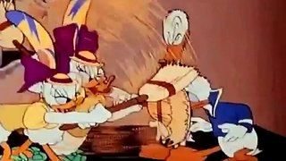 Donald Duck Cartoon Cured Duck and Home Defense HD