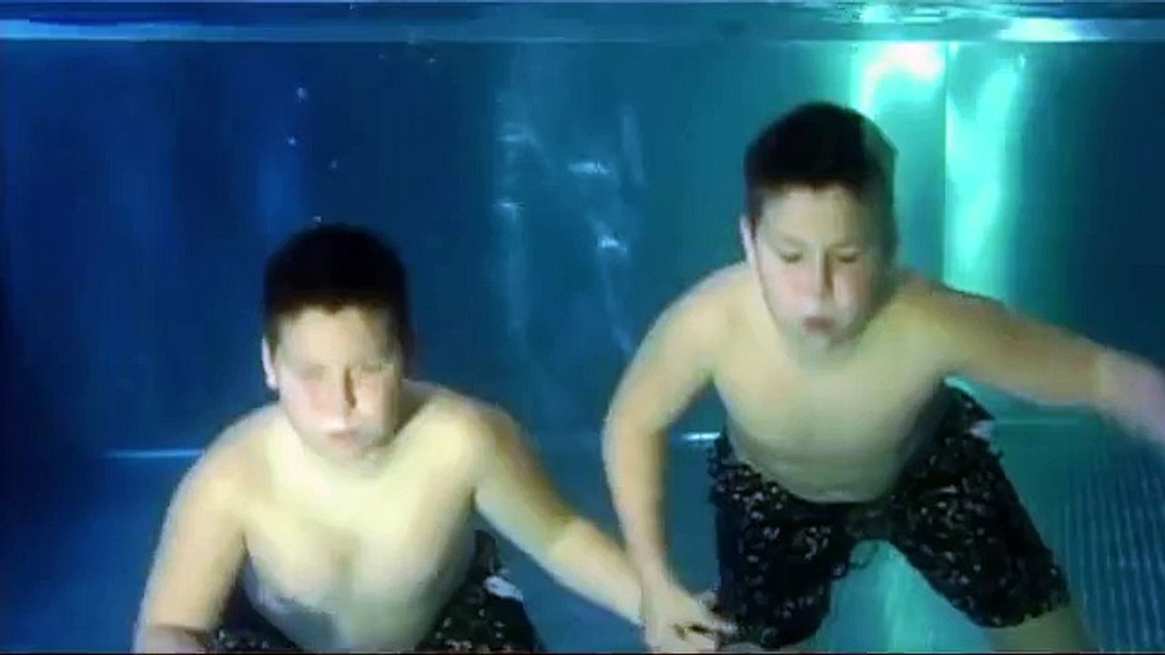 Schwimmen mit Pinguinen im Spreewelten Sauna- und Badeparadies Lübbenau