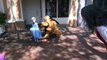 pluto dog cartoon meets Nikki Levu - Disneyland July 2014