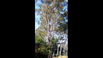 So What Remix - Miles Davis