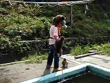 波勝崎苑の猿（プール掃除）Japanese Macaque Monkeys