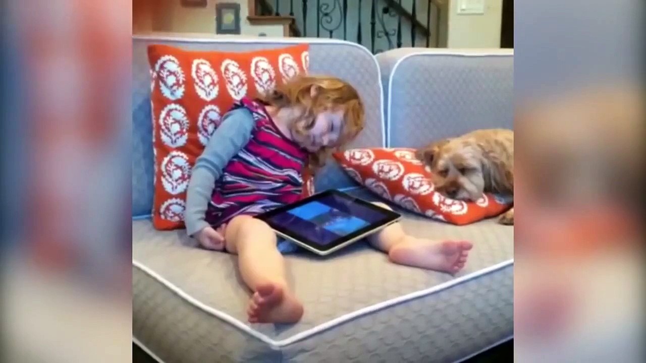 Funny animals Little Dog is Overprotective of His Pillow