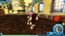 Star Stable Online: Gypsy Vanners (Tinker horse)