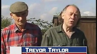 Trevor Taylor Winners 1 Racing Pigeons