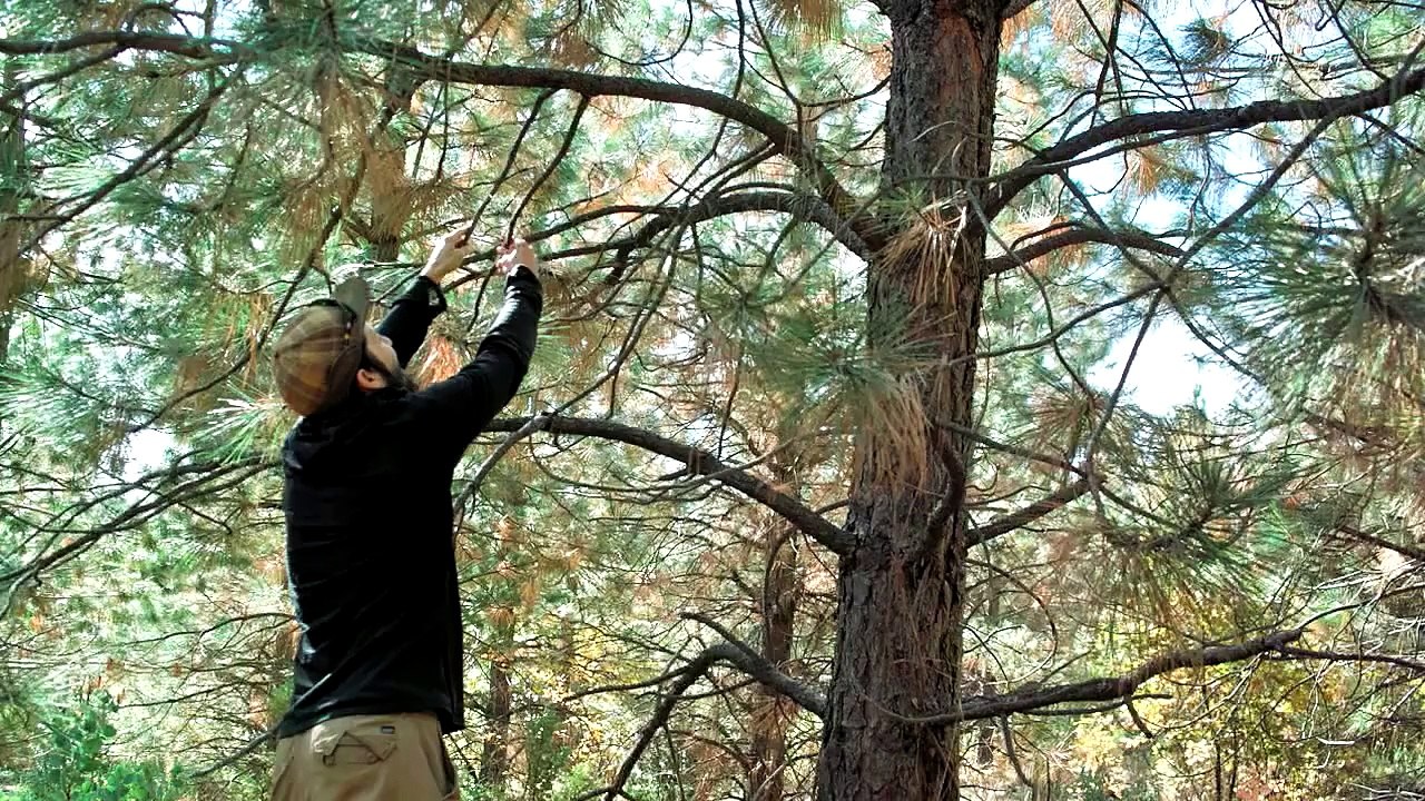 A Tribute to Yukihiro Yoshimura - tenkara net maker