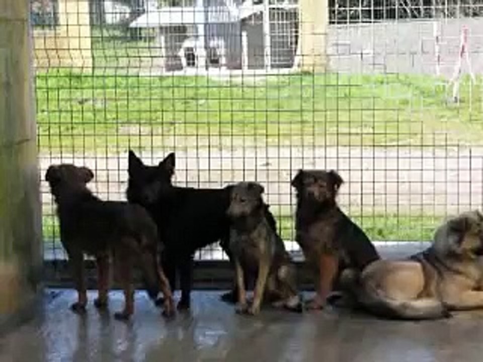 Abbiamo bisogno di aiuto