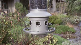 Wild Birds Unlimited - Eliminator™ Squirrel-Proof Feeder