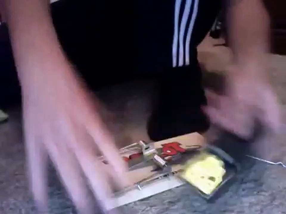 how to set a rat trap