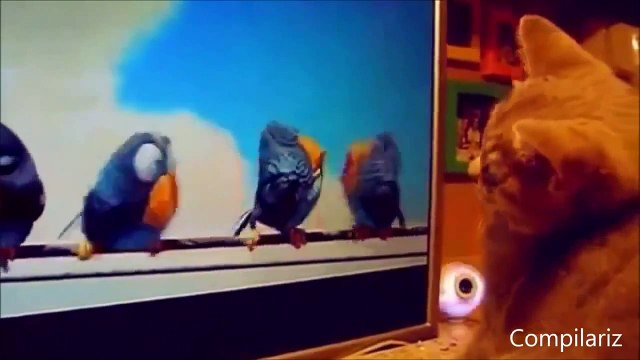 Just for Laughs Funny videos that will make you laugh so hard you cry Part4 mp4